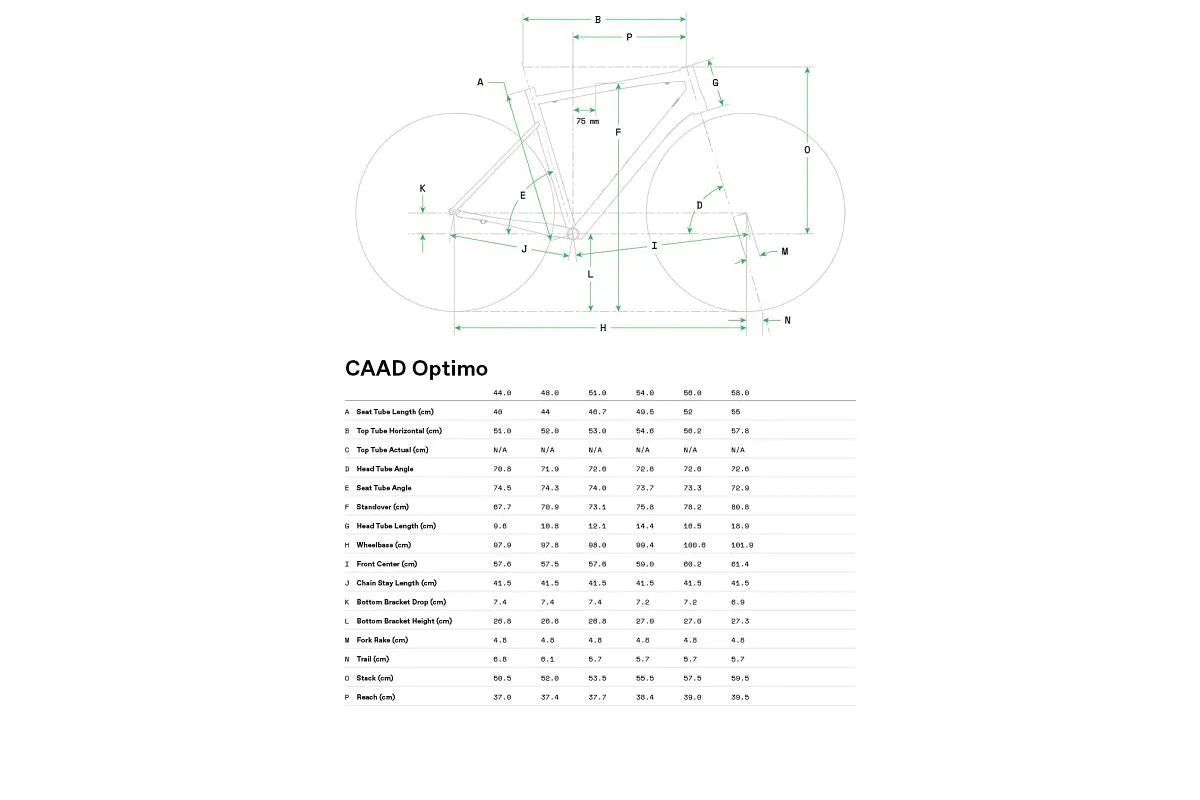 Cannondale CAAD Optimo 2